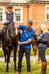The Metropolitan Police Mounted Branch (Hyde Park) have joined forces with the Blue Cross to launch the charity's National Equine Health Survey, taking place this week.