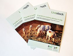 IDT Biologika and Hysolv Animal Health have announced the publication of A guide to oedema disease in pigs, a six-page booklet written to help pig producers understand the causes, effects and treatment of this ailment.