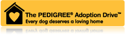 Pedigree has announced that it has raised over £160,000 to help the thousands of dogs abandoned every year in the UK, through its charitable initiative, The Pedigree Adoption Drive 2011.
