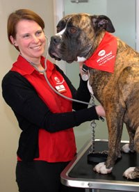 Vets Now has won the 'Social Entrepreneur of the Year' award in the Scottish Business Awards for Pet Blood Bank UK. 