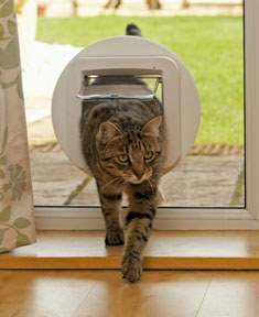 SureFlap