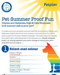 Petplan has teamed up with Battersea Dogs & Cats Home to launch Summer Safety