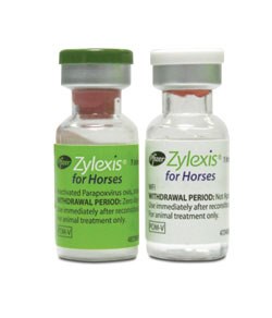 Pfizer Animal Health has launched Zylexis for horses, the first and only immunomodulator licensed in the UK to reduce the clinical signs of equine respiratory disease associated with over-crowding and stress.