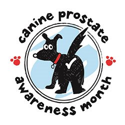 Virbac has announced that it is running Canine Prostate Awareness Month (CPAM) in November, or 'Movember' as it's called by those fundraising for male prostate disease and testicular cancer.