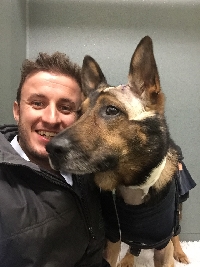 The team at Davies Veterinary Specialists (DVS) have saved the life of a working police dog who was critically stabbed in the line of duty last week.