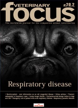 Veterinary Focus