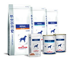 Royal Canin has launched a range of new renal diets to help support patients with Chronic Kidney Disease (CKD).