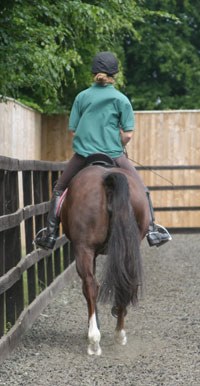 Equine vets at the Animal Health Trust are appealing to horse riders to help with a research project, to assess the interaction between horse, saddle and rider.