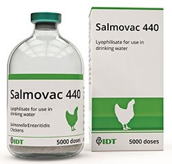 Hysolv Animal Health has announced the launch of Salmovac 440, a new live salmonella vaccine for poultry which the company claims gives earlier, stronger and longer-lasting immunity than other salmonella vaccines. 