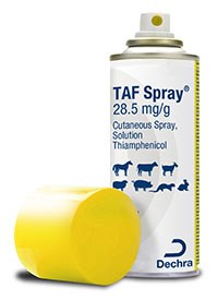 Dechra Veterinary Products has launched TAF Spray (thiamphenicol)