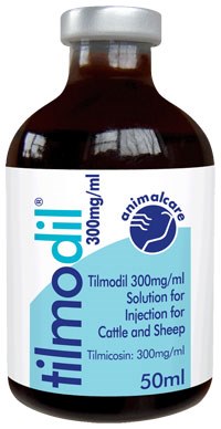 Animalcare Ltd has launched Tilmodil (tilmicosin 300mg/ml solution for injection), a semi-synthetic macrolide antibiotic licensed for pneumonia in cattle and sheep, foul in the foot in cattle, and footrot and mastitis in sheep.