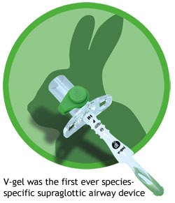 V-gel was the first ever species-specific supraglottic airway device (pictured top right), currently available for cats and rabbits. Billed as the latest ground breaking technology for a safer anaesthesia, for easier breathing and avoiding damage to the throat and trachea; a safer alternative to ET tubes.