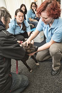 Virbac has announced that it is to support the work of Glasgow student vets buy supplying their homeless project with vaccines and parasiticides.  'Trusty Paws' was set up last year by fourth year veterinary student Ruby Shorrock and a group of her fellow students to provide basic veterinary care to dogs belonging to homeless people in Glasgow.  Working with organisations which help the homeless, the students provide monthly clinics during which they give free vaccinations and flea/worm treatments to animals owned by the homeless. They also microchip them and give out bedding, food and clothing for the dogs and their owners.  Virbac is providing its Canigen DHPPi and Lepto vaccines to Trusty Paws, as well as its recently launched Milpro wormer and its Effipro spot-on flea treatment.  Royal Canin is also supplying marketing assistance to help Trusty Paws spread its good pet-care message and encourage those in need to visit the clinic. They will also provide clinical diets to those pets in need of specialised nutrition.  Ruby Shorrock: " Glasgow is in desperate need of this service as there is very little in place to help homeless people with animals - not even a dog-friendly hostel. We provide preventative care for their dogs in a friendly environment where they can also have a warm drink, a sandwich and a chat. We rely on fundraising and donations to keep the clinics running and also fundraise to help any dogs with major health problems so that they can made more comfortable for their hard life on the city's streets.  "For many homeless people, their dogs are a treasured companion. Protecting them from disease and parasites is the most important thing we can do to help them continue to benefit from this companionship.  Simon Boulton MRCVS, Head of Marketing (Companion Animal Business Unit) at Virbac, said: "In setting up Trusty Paws, Ruby and her colleagues are providing a vital service to animals in dire need of basic veterinary care.  They are also extending the hand of friendship and support to homeless people in Glasgow, who already face a difficult life and value the unconditional love they get from their pet so highly.  We were inspired by the fantastic work they are doing and are delighted to support them by donating our vaccines and parasite control products to them."