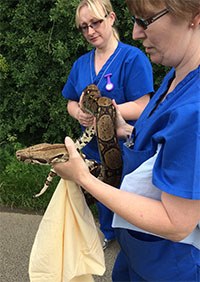 Teeside veterinary nurses Debbie Rowley and Karen Taylor from Wilton Vets