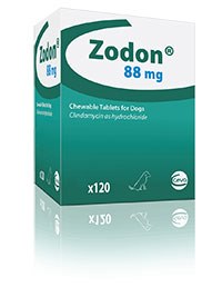Ceva has announced the launch of Zodon®, a flavoured clindamyacin for dogs and cats. 