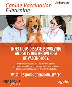 Zoetis has announced the launch of a free 1.5hr canine vaccination CPD course (1.5 hours) on its Vetsupport+ website.