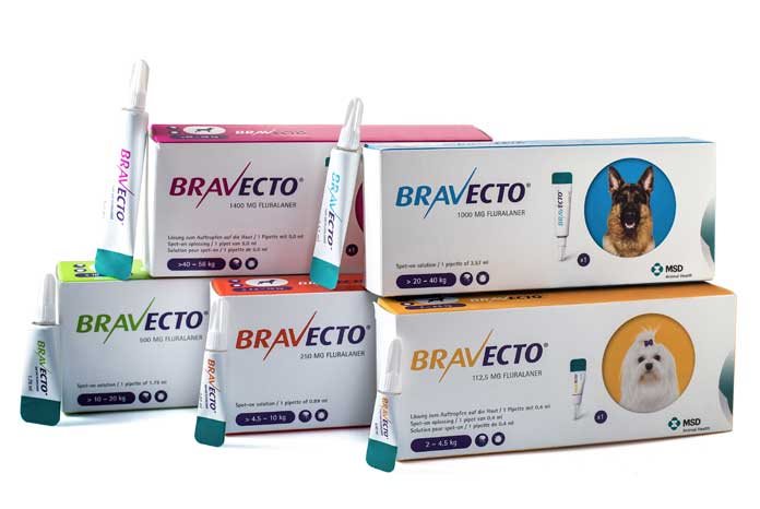 MSD Animal Health has announced the launch of Bravecto Spot-on for Dogs (fluralaner).