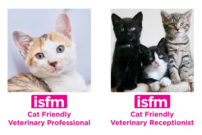 The International Society of Feline Medicine (ISFM) has announced the launch of two new cat friendly courses aimed at individuals working in veterinary practice.