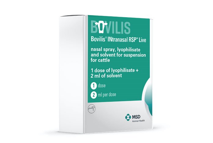 MSD Animal Health has launched Bovilis Intranasal RSP Live, a live BRD vaccine for early life intranasal administration to dairy and beef calves from one week of age.
