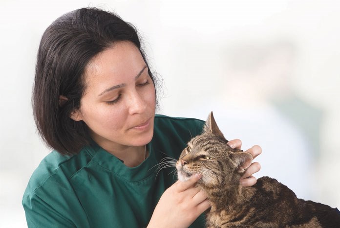 Solihull-based Willows Veterinary Centre has opened a new unit to treat cats with an overactive thyroid.