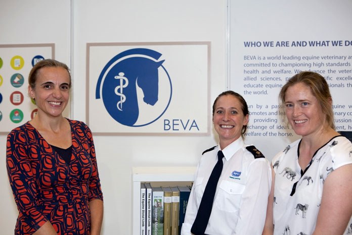 The BEVA has launched the Welfare Case Toolkit to help equine veterinary surgeons navigate welfare cases with confidence.