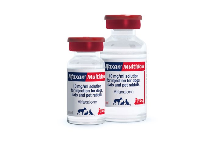 Jurox UK has issued a recall for specific batches of 10 ml Alfaxan and Alfaxan Multidose 10 mg/ml Solution for Injection.