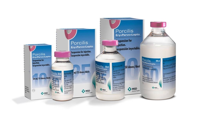MSD Animal Health has announced the launch of Porcilis Ery+Parvo+Lepto, its new vaccine against erysipelas, porcine parvovirus and leptospirosis.