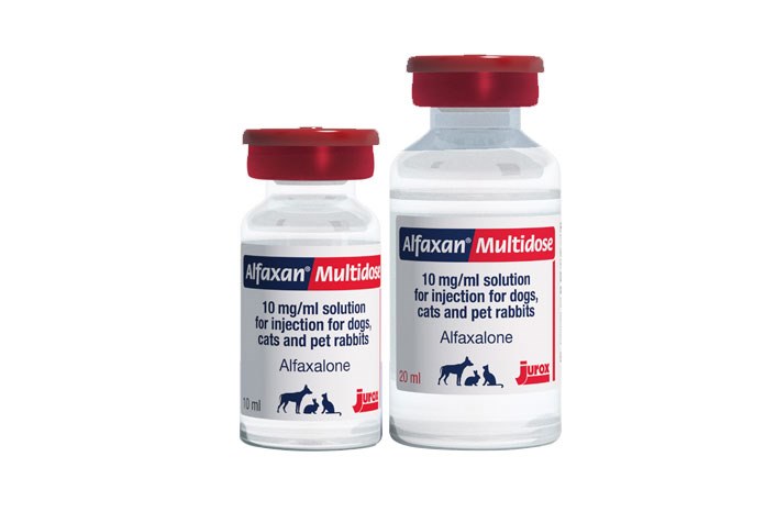 Following the news about the shortage of isoflurane, Jurox (UK) Ltd has launched a support pack for Alfaxan, licensed for the maintenance of anaesthesia for up to an hour in dogs and cats.