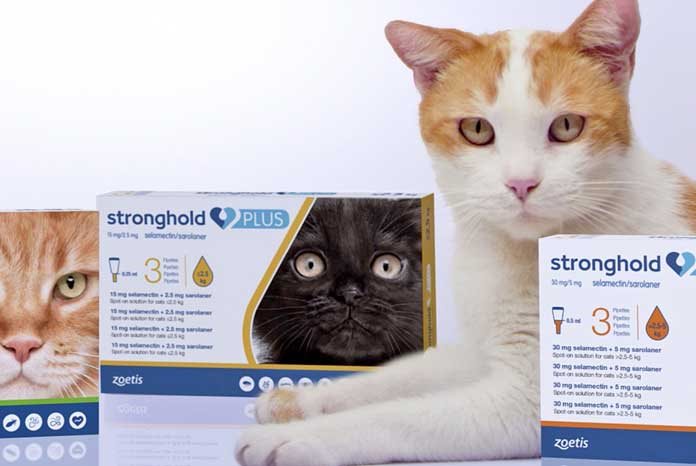 Zoetis has launched Stronghold Plus (selamectin/sarolaner), a topical combination of parasiticides licensed for the treatment of fleas, ticks, ear mites, lice, GI worms and heartworm in cats.