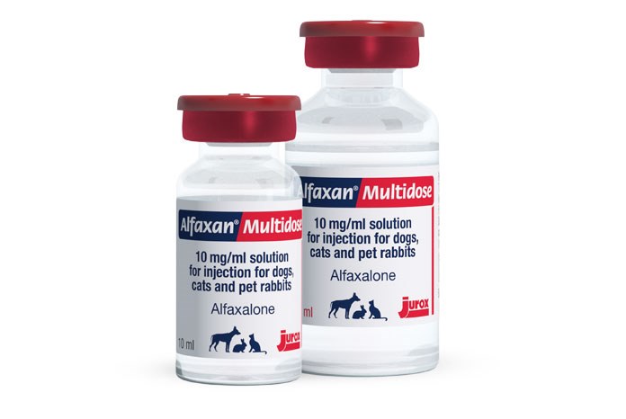 Jurox has announced the launch of Alfaxan Multidose for dogs, cats and pet rabbits, a preserved formulation of alfaxalone with an extended shelf life of 28 days after the vial is first broached.
