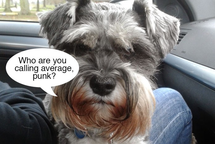 Research published by the Royal Veterinary College in Canine Genetics and Epidemiology has found that the Miniature Schnauzer is one of the most average dog breeds in the UK