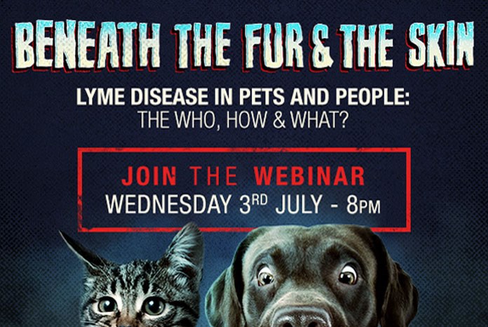 Zoetis is holding a free webinar to share the latest thinking about Lyme disease, on Wednesday 3rd July at 8:00pm. 