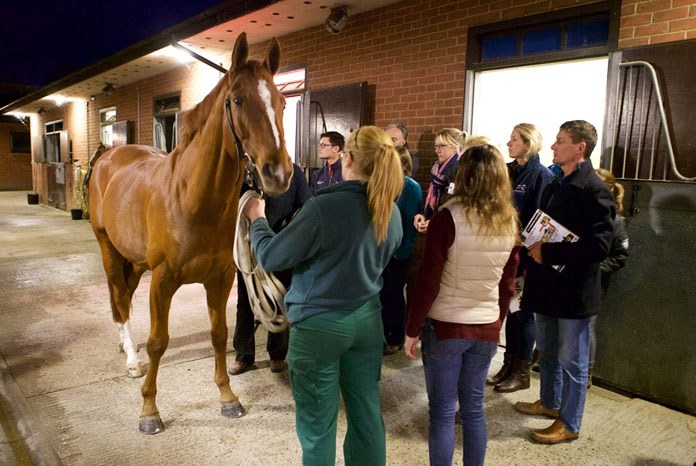 The British Equine Veterinary Association (BEVA) has launched the Equine Practice Fundamentals Programme, a series of ten courses covering the essentials of equine care to equip veterinary surgeons with the essential skills they need to carry out their day job.