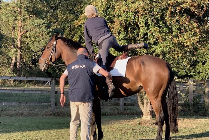 The British Equine Veterinary Association has announced the launch of a coaching scheme which will pair new grads with experienced equine vet coaches for career support.