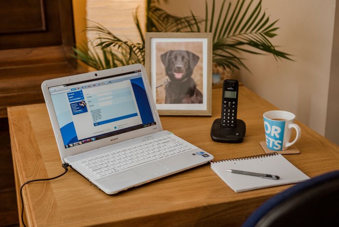 The Blue Cross Pet Bereavement Support Service (PBSS) has launched a two-hour ‘Introduction to Pet Bereavement Support Skills’ e-learning short course.