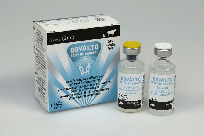 Boehringer Ingelheim has launched Bovalto Respi Intranasal, an intranasal pneumonia vaccine for calves.