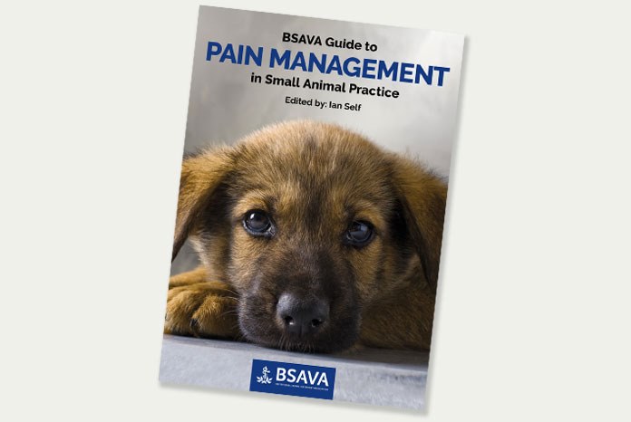 The BSAVA will be launching its new Guide to Pain Management in Small Animal Practice at Congress this year.