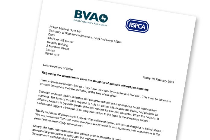 The BVA has joined forces with the RSPCA to call on the Government to repeal a legal exemption that permits animals to be slaughtered without pre-stunning, causing unnecessary pain and suffering.