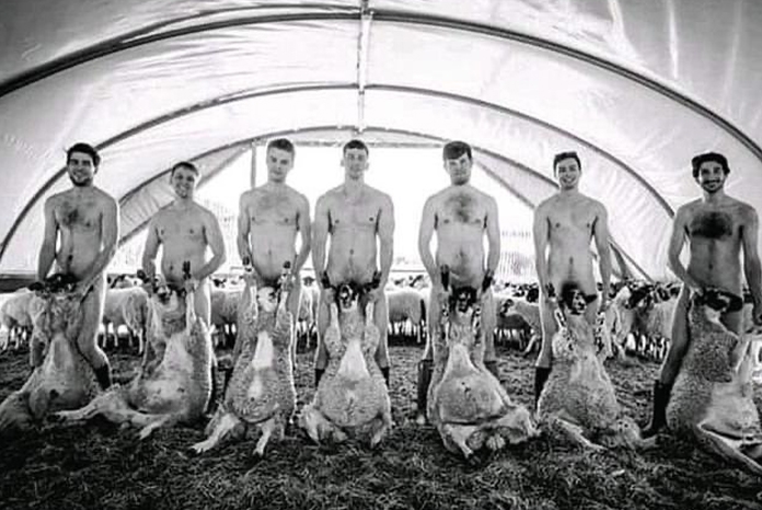 The Royal Veterinary College Principal, Stuart Reid has become embroiled in a row over its students' annual charity calendar, after a vegan group complained about the month that showed veterinary students handling sheep.