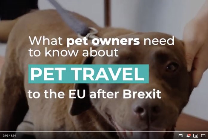 Defra has produced a video offering official advice for pet owners that want to travel with their pet in the event of a no deal Brexit.