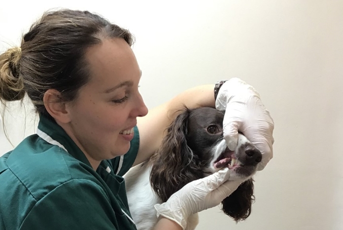 Warwickshire-based Avonvale Veterinary Centre has created the role of 'nurse dental champions', both to help fight against dental disease and to create a rewarding role for the latest generation of its nurses who have an interest in the subject.