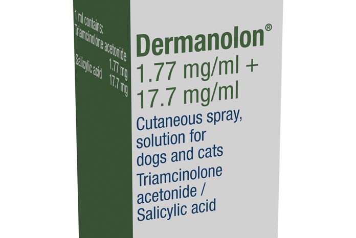 Dechra Veterinary Products has launched Dermanolon, a new symptomatic treatment to tackle seborrhoeic dermatitis in cats and dogs.