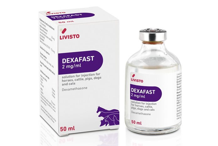 Forte Healthcare Limited has launched Dexafast 2mg/ml, a dexamethasone solution for injection for horses, cattle, pigs, dogs and cats. 