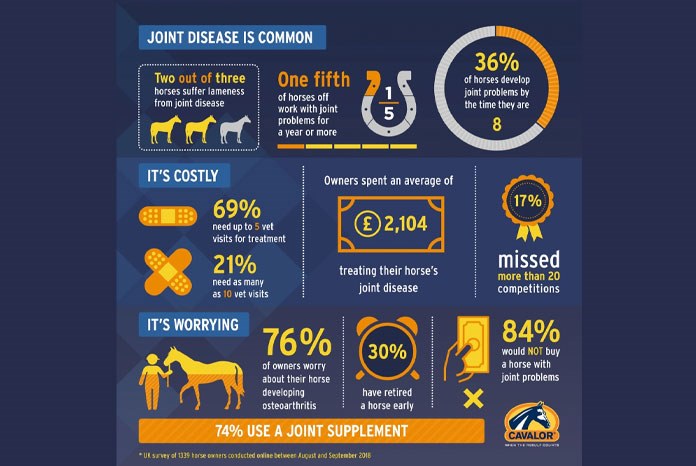 A new survey of horse owners¹ by supplement brand, Cavalor