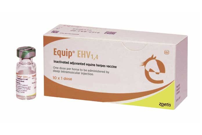 Zoetis has announced that its Equip EHV 1,4 vaccine is now available and that it has made arrangements to supply an alternative rotavirus vaccine when Equip Rotavirus goes out of stock.
