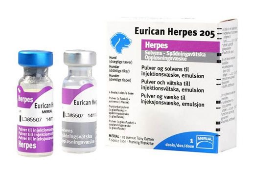 eurican