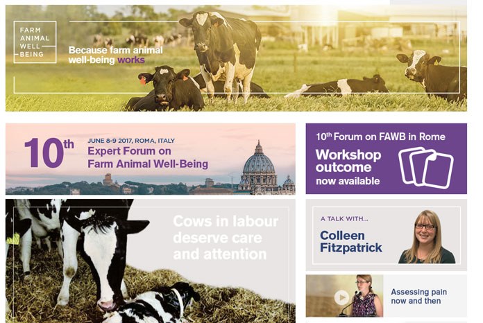 Boehringer Ingelheim Animal Health has announced two new awards for veterinary surgeons which will be presented at the 2018 Expert Forum on Farm Animal Wellbeing in Sapporo, Japan (28th August - 1st September). 