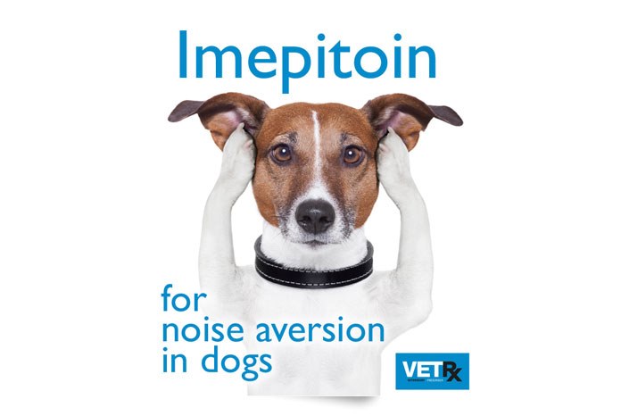 Veterinary Prescriber has published a critical appraisal of the evidence regarding the use of Pexion (imepition) for the reduction of anxiety and fear associated with noise phobia in dogs, for which the drug is now licensed.