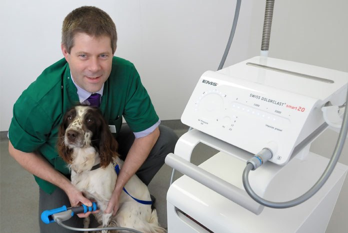 The therapy is being spearheaded at Willows by Kinley Smith, an RCVS and European specialist in small animal surgery. He said: "Shockwave therapy is a whole new line of treatment and has proved a spectacular success. 