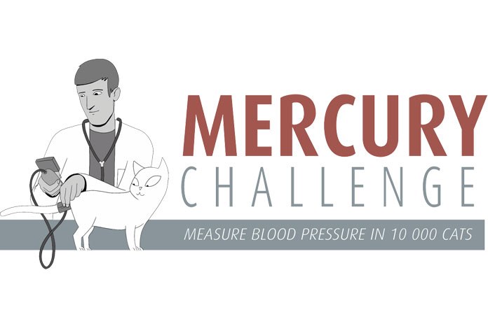 Veterinary surgeons are being asked to take blood pressure readings from cats over seven years of age and submit them to The Mercury Challenge, Europe's largest study into feline hypertension. 